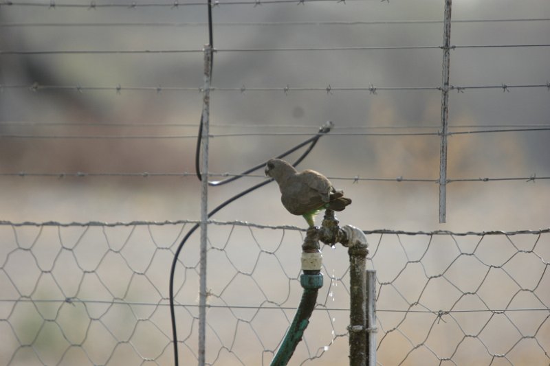 c_2015_08_29 15_52_26_752